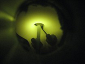 Floating zone heater