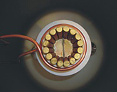 Mounted skull crucible Mounted skull crucible